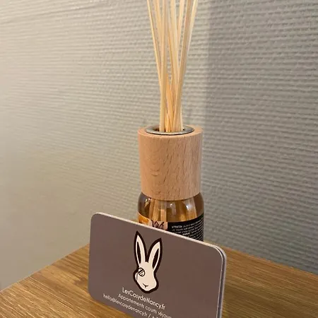 - Les Cosy De - Place Du Marche, Proche Gare Νανσύ