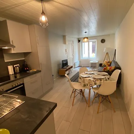 Appart Hotel - Les Cosy De Nancy - Place Du Marche, Proche Gare Appartement