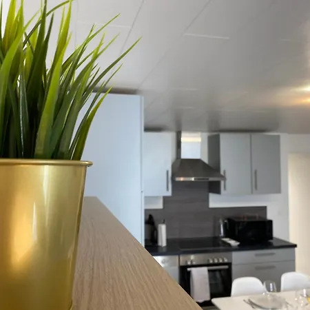 Apartament - Les Cosy De - Place Du Marche, Proche Gare Nancy