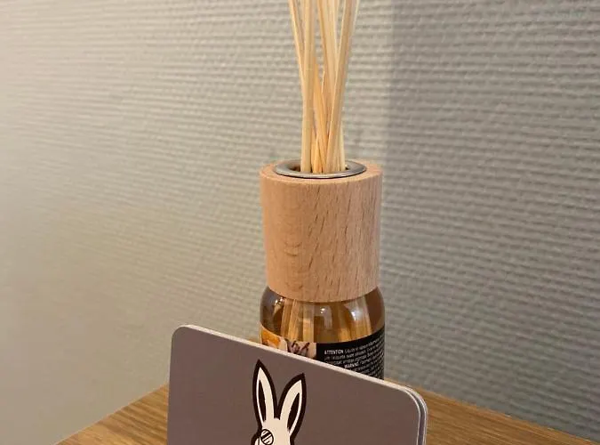 - Les Cosy De - Place Du Marche, Proche Gare Нанси